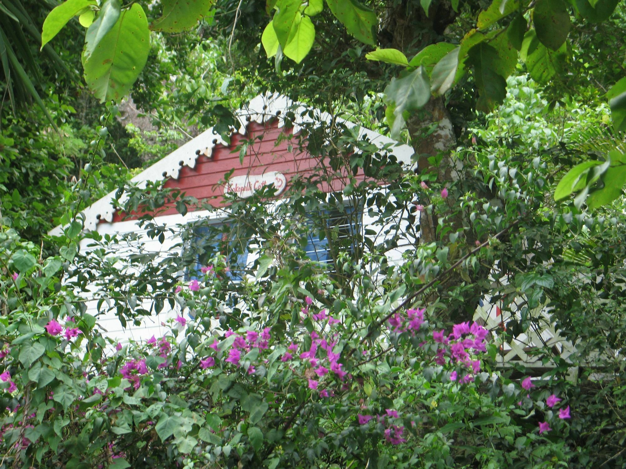 El Momo Cottages Windward Side Eksteriør bilde